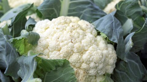 Imagen de archivo de una coliflor
