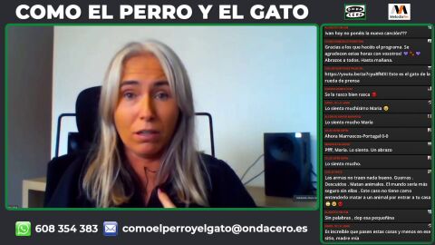 La desaparición del cadáver Hada, de una perra que fue abatida en Caldas de Reis presuntamente por un cazador