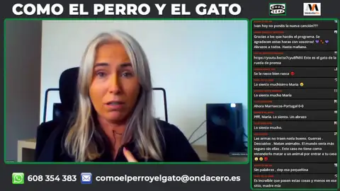 La desaparición del cadáver Hada, de una perra que fue abatida en Caldas de Reis presuntamente por un cazador La desaparición del cadáver Hada, de una perra que fue abatida en Caldas de Reis presuntamente por un cazador