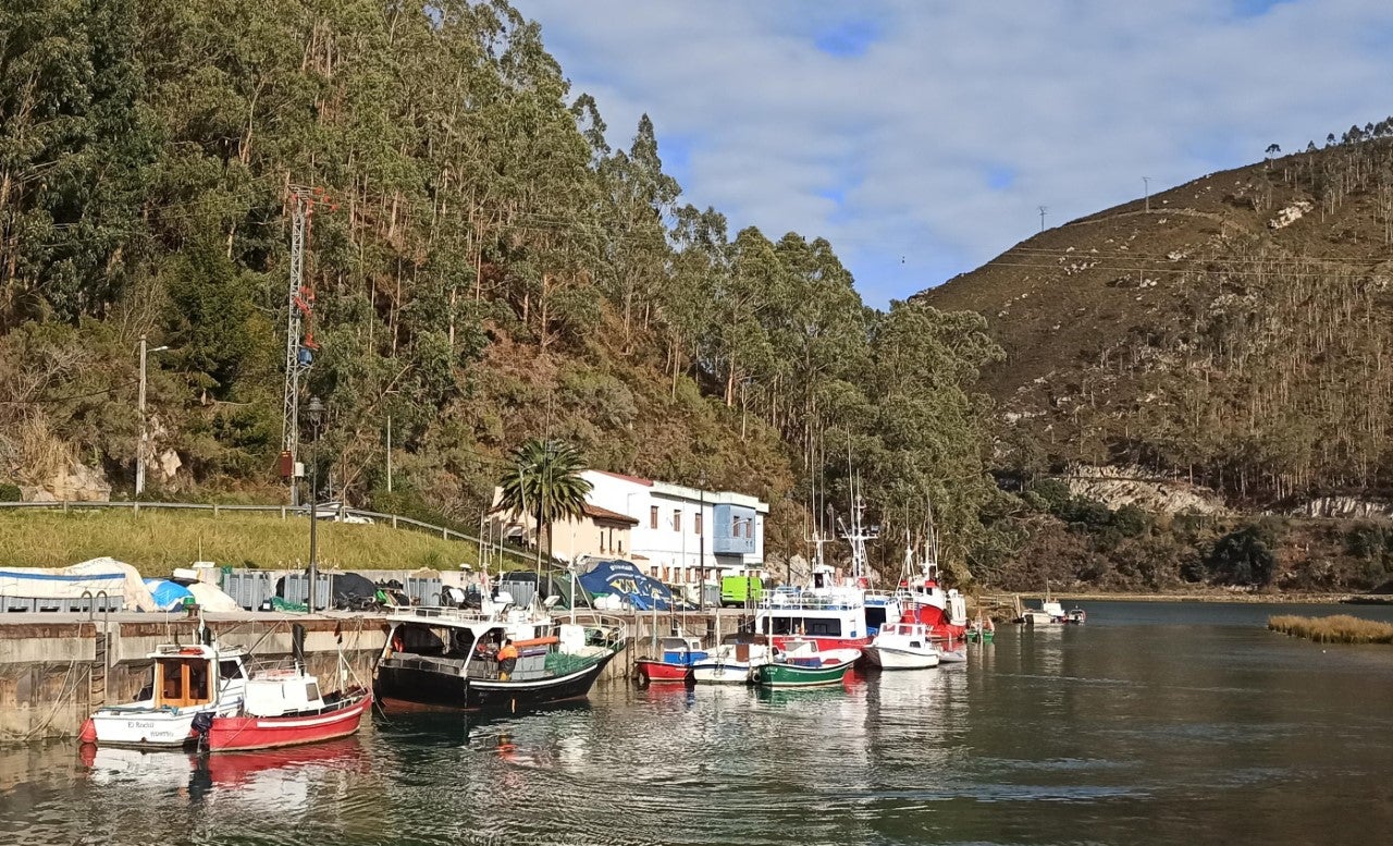 Calvo: "supondrá un claro punto de inflexión para el sector en Asturias" Calvo: "supondrá un claro punto de inflexión para el sector en Asturias"