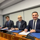 comite olimpico español la nucia bernabe cano comite olimpico español la nucia bernabe cano