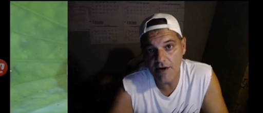 Los comentarios homófobos de Frank Cuesta: "Es antinatural” Los comentarios homófobos de Frank Cuesta: "Es antinatural”