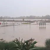 Un centenar de evacuados en el desalojo del Camino Viejo de San Vicente y de casas de la margen derecha en Badajoz Un centenar de evacuados en el desalojo del Camino Viejo de San Vicente y de casas de la margen derecha en Badajoz
