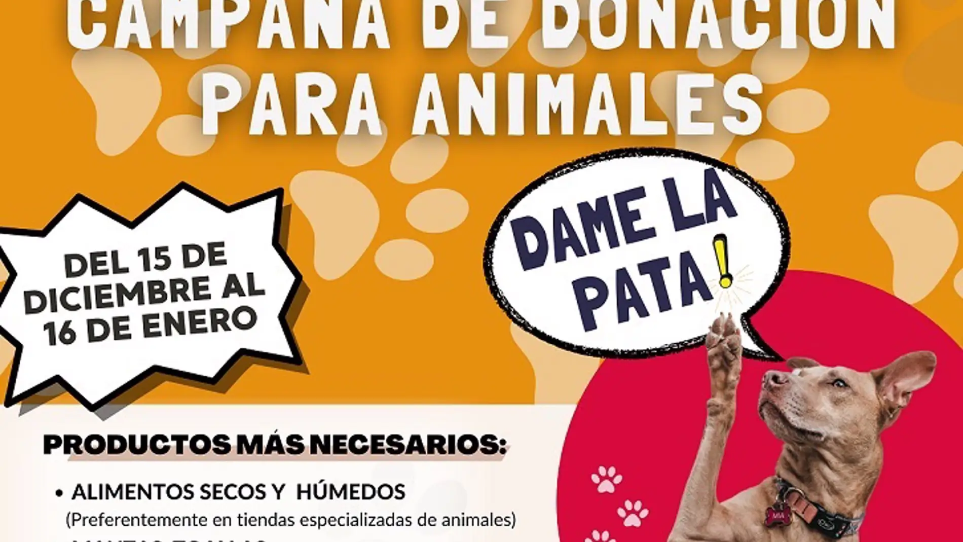 La Diputación de Badajoz lanza una campaña de donación para animales con 4 protectoras