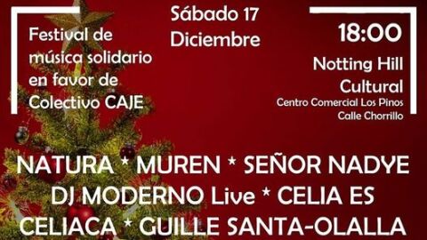Festival de m&uacute;sica solidario en favor del colectivo Caje de Alcal&aacute; de Henares
