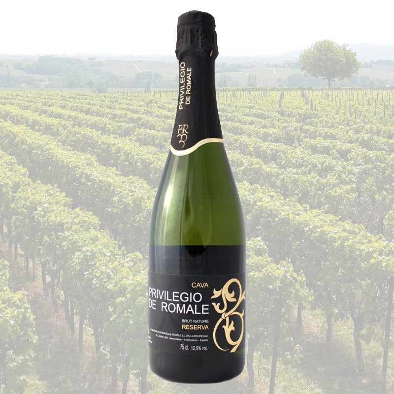 ¿Con qué cava extremeño acompañamos nuestras comidas esta navidad? ¿Con qué cava extremeño acompañamos nuestras comidas esta navidad?