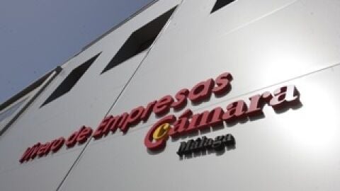 Vivero empresas San Pedro Alc&aacute;ntara