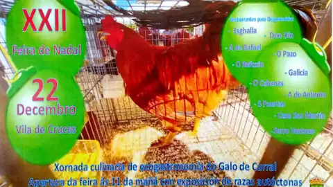 Feira de Nadal do Galo de Curral a Vila de Cruces Vila de Cruces