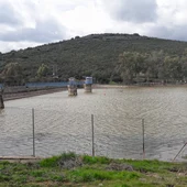 Pantano de Gasset Pantano de Gasset