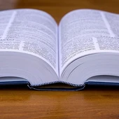 Estas son algunas de las nuevas palabras que la RAE ha añadido al Diccionario de la Lengua Española Estas son algunas de las nuevas palabras que la RAE ha añadido al Diccionario de la Lengua Española