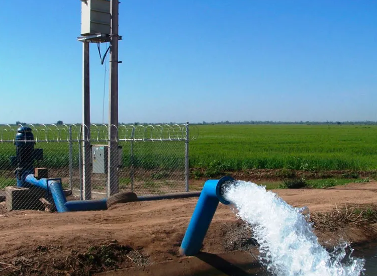 El juez desestima la demanda de regantes de Las Torres de Cotillas y comunica la posible extracción irregular de más de 60 millones de litros de agua El juez desestima la demanda de regantes de Las Torres de Cotillas y comunica la posible extracción irregular de más de 60 millones de litros de agua
