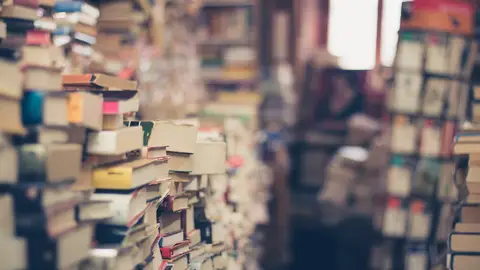 Imagen de archivo de libros. Imagen de archivo de libros.