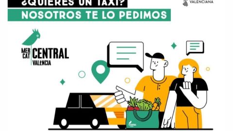 CAMPA&Ntilde;A TAXIS