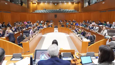 Pleno de las Cortes Pleno de las Cortes