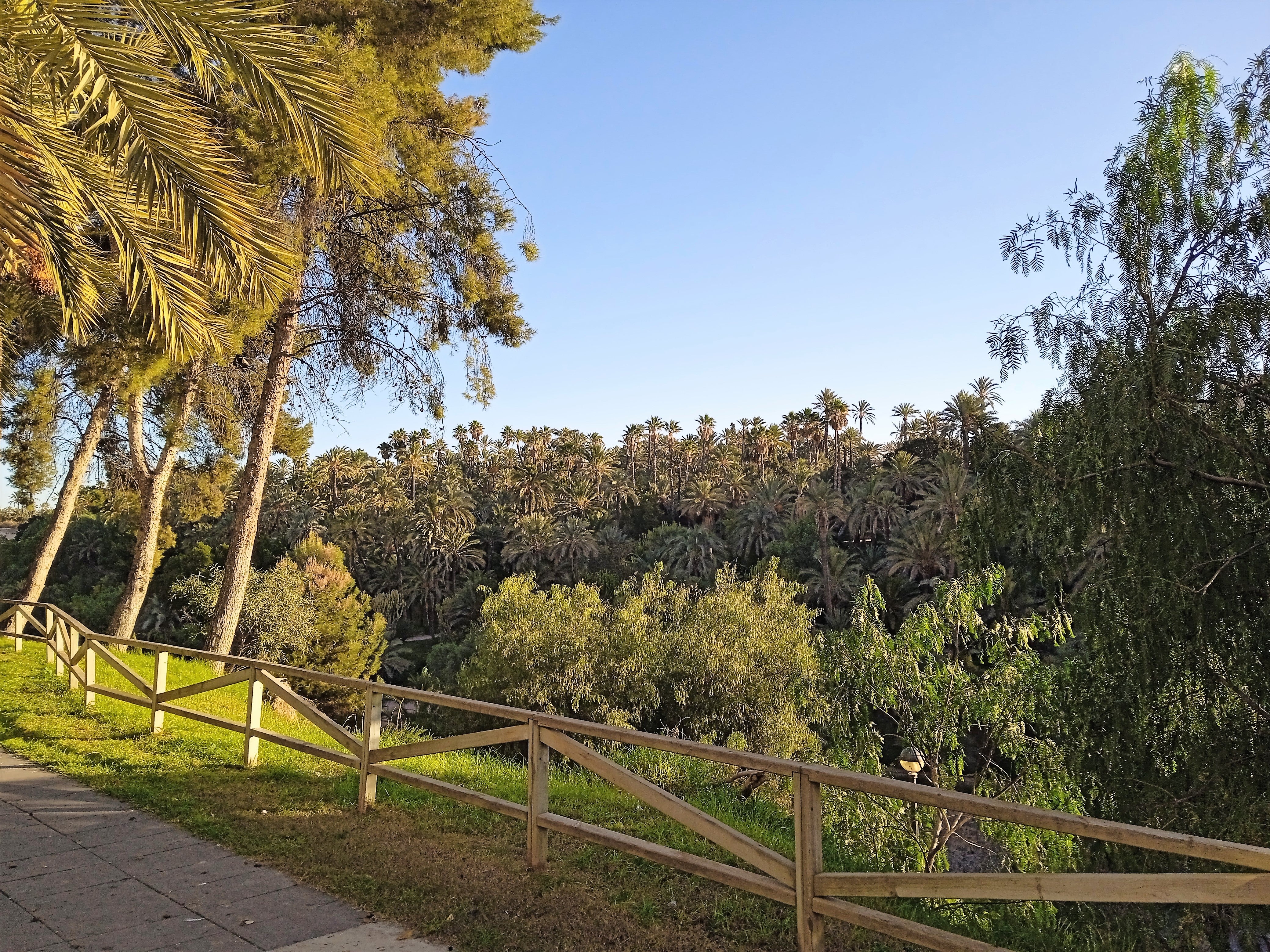 El calor vuelve a apretar en pleno septiembre en Elche, Crevillent y Santa Pola El calor vuelve a apretar en pleno septiembre en Elche, Crevillent y Santa Pola