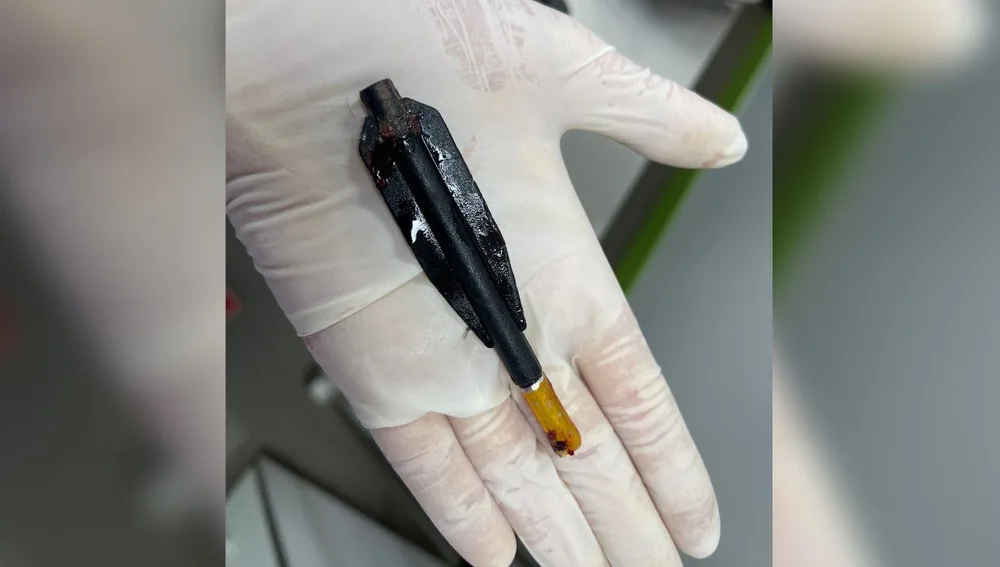Operan con éxito a una gata que tenía una flecha que le atravesaba la cabeza Operan con éxito a una gata que tenía una flecha que le atravesaba la cabeza