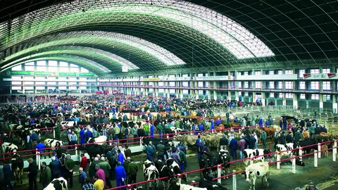 Mercado Nacional de Ganados de Torrelavega Mercado Nacional de Ganados de Torrelavega