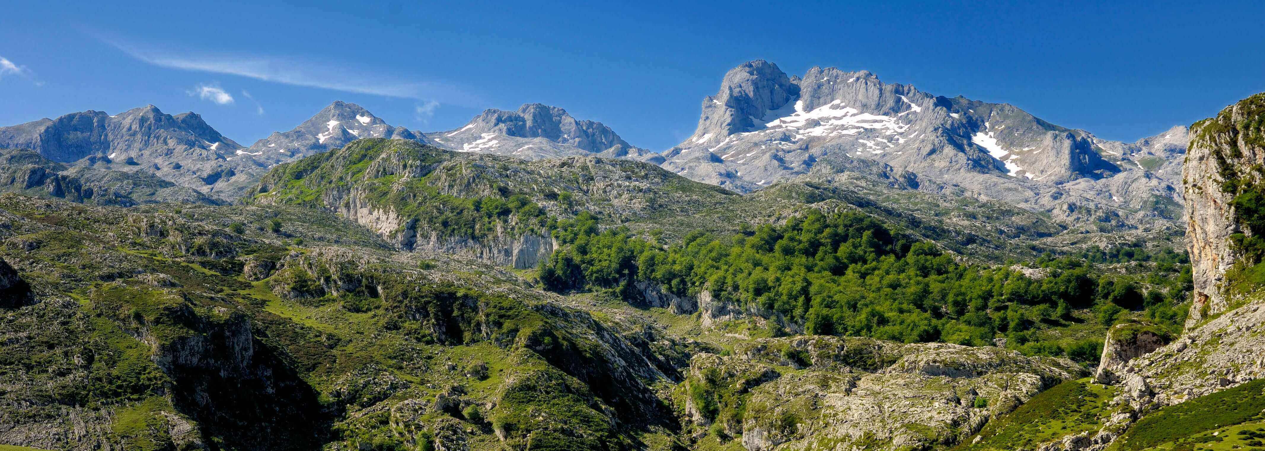 El Plan Leader abre nueva convocatoria para el oriente de Asturias El Plan Leader abre nueva convocatoria para el oriente de Asturias