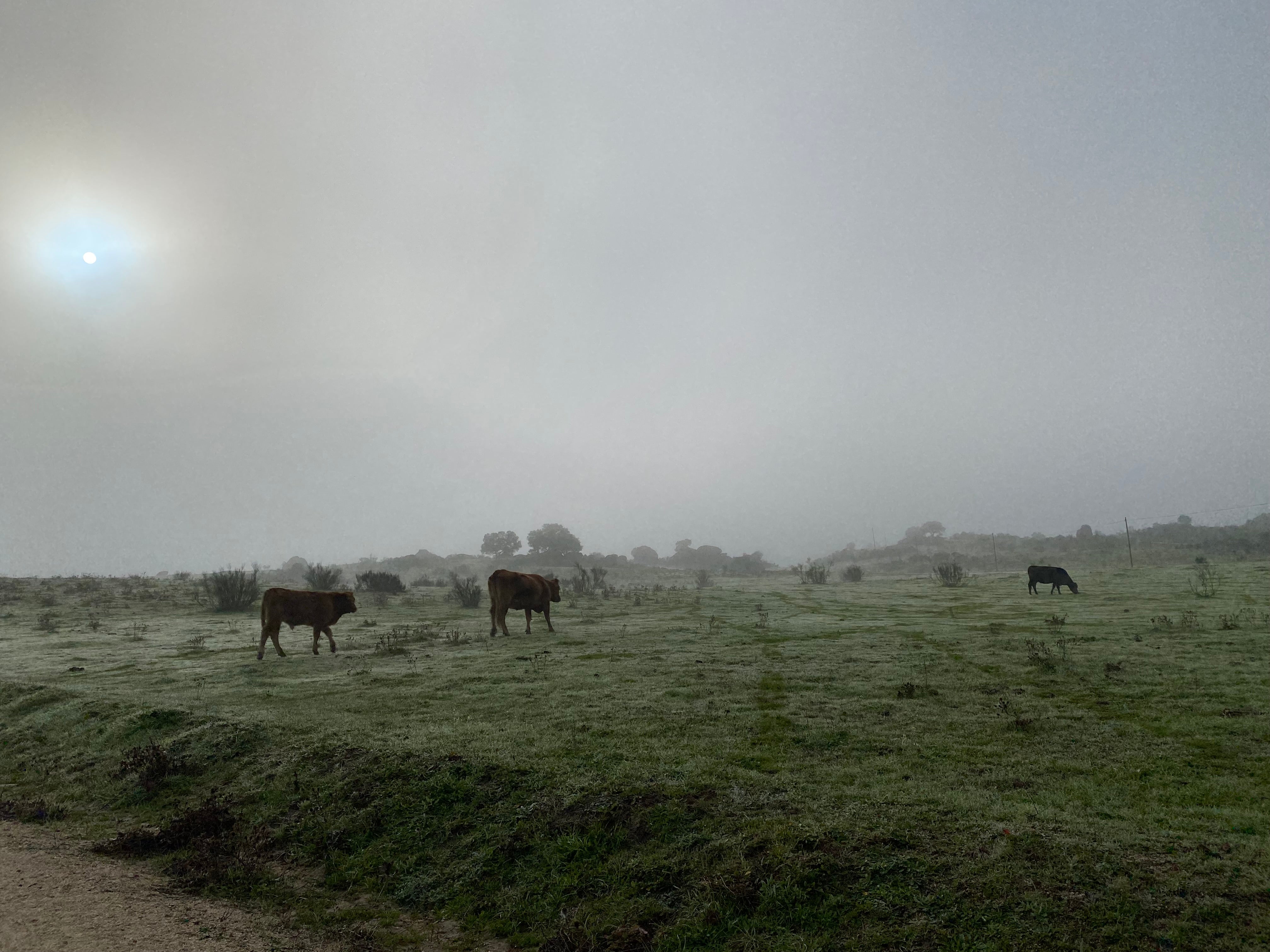 El borrascas ha inventado una nueva palabra. El borrascas ha inventado una nueva palabra.