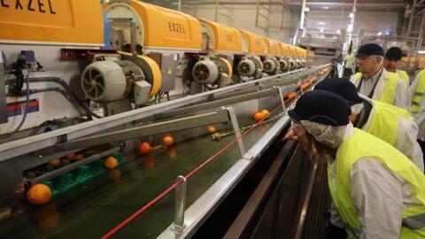 La consellera de Agricultura, Isaura Navarro, visita las instalaciones de ZUVAMESA en El Camp de Morvedre