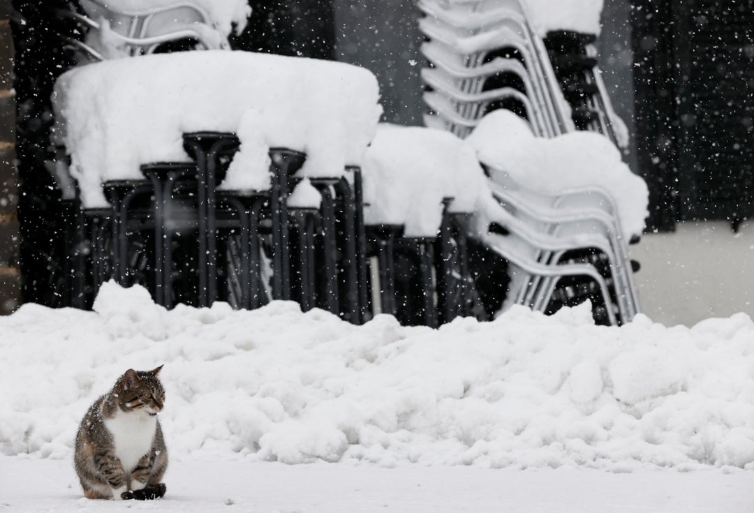Las peores horas del invierno: la AEMET alerta de nevadas excepcionales y extremas en estas provincias Las peores horas del invierno: la AEMET alerta de nevadas excepcionales y extremas en estas provincias