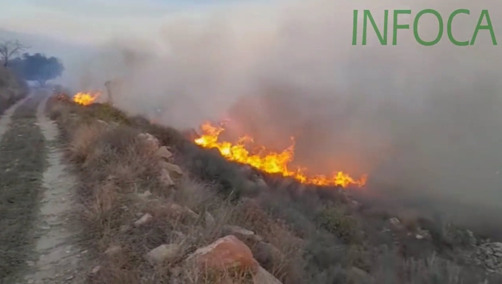 Se da por estabilizado el incendio forestal de Lubrín Se da por estabilizado el incendio forestal de Lubrín