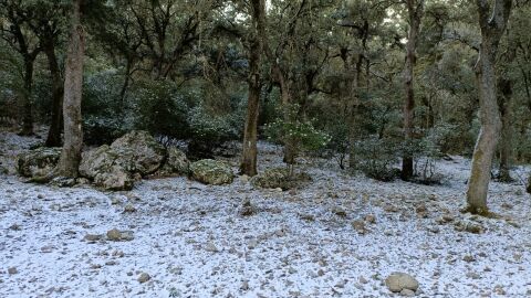 Nieve en la Font Roja