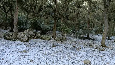 Las primeras nieves en Alicante y las fuertes rachas de viento continuarán hasta mañana Nieve en la Font Roja Alcoi, Alicante