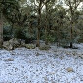Las primeras nieves en Alicante y las fuertes rachas de viento continuarán hasta mañana