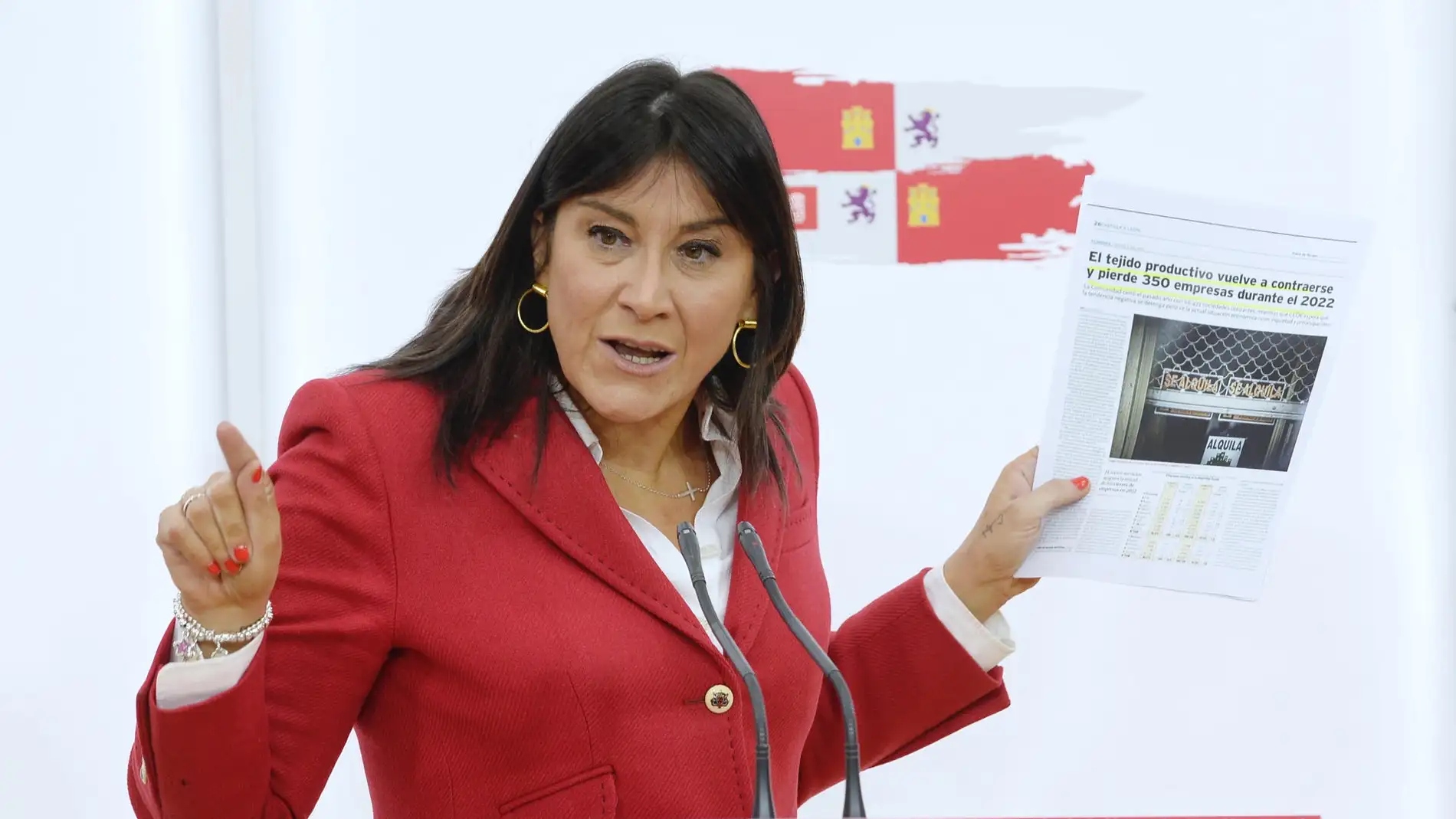 La secretaria de Organización del PSOE de Castilla y León, Ana Sánchez.