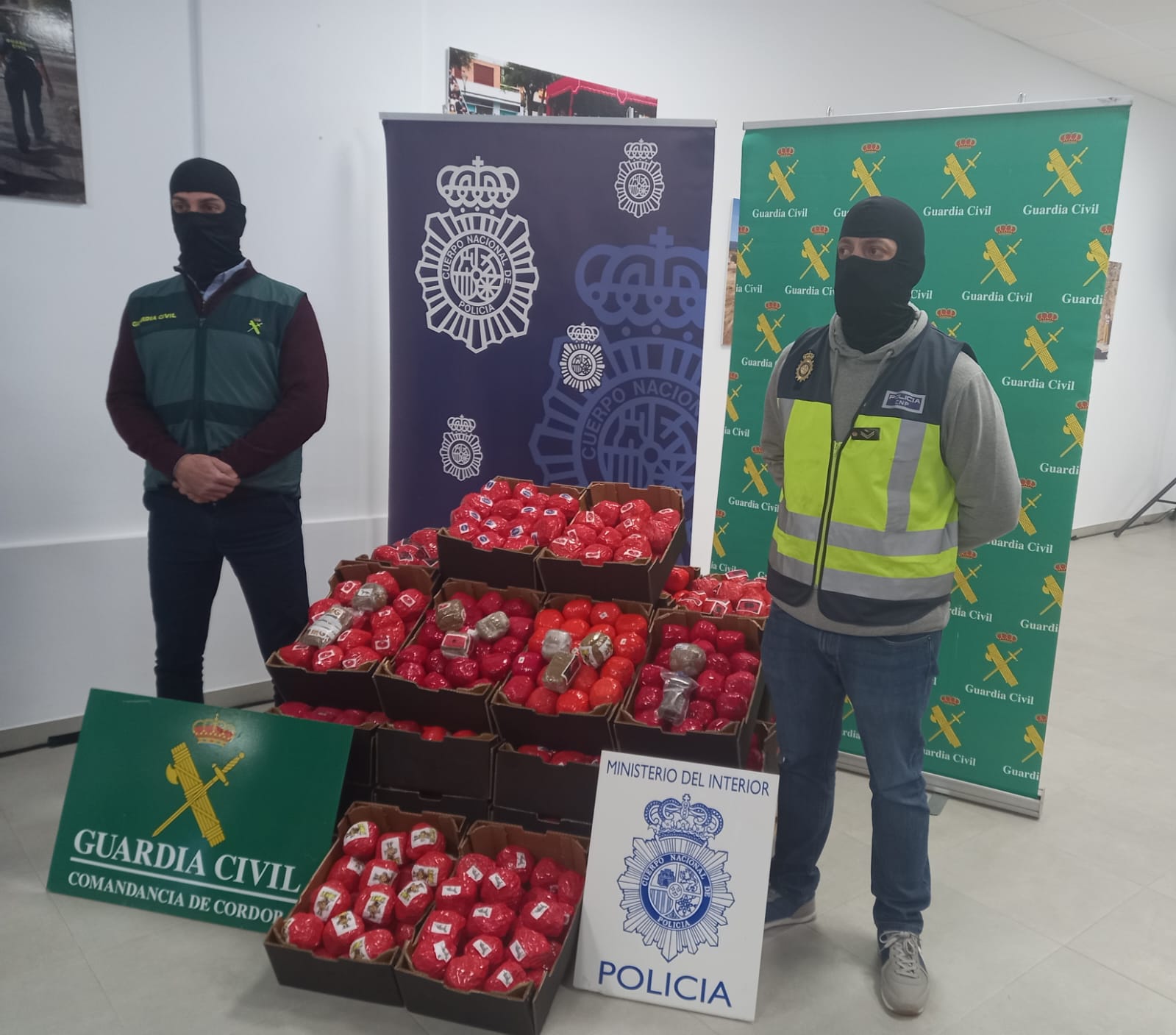 Intervenidas más de 22 toneladas de hachís camuflado en el interior de falsos tomates con destino a Francia Intervenidas más de 22 toneladas de hachís camuflado en el interior de falsos tomates con destino a Francia