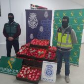 Intervenidas más de 22 toneladas de hachís camuflado en el interior de falsos tomates con destino a Francia