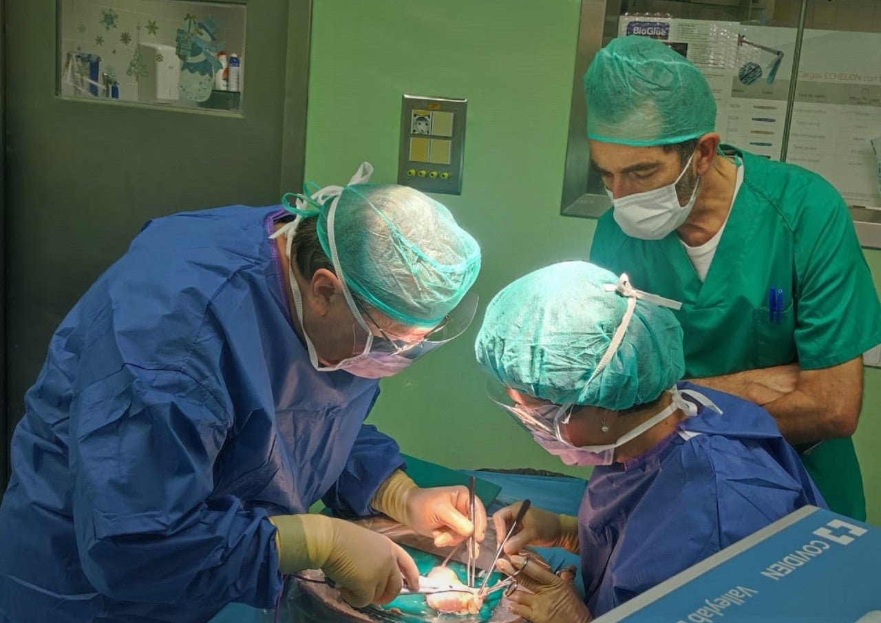 El Hospital General de Alicante "Doctor Balmis" lidera los trasplantes de la Comunidad Valenciana El Hospital General de Alicante "Doctor Balmis" lidera los trasplantes de la Comunidad Valenciana