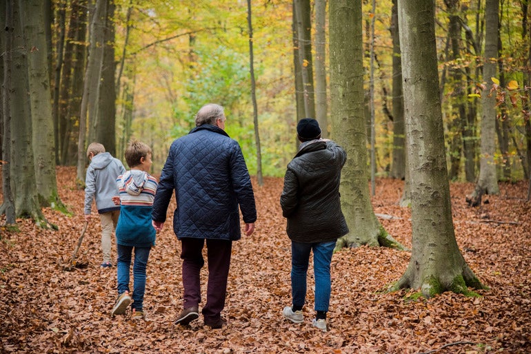 Aumenta un 8 % la mediación familiar en Euskadi Aumenta un 8 % la mediación familiar en Euskadi