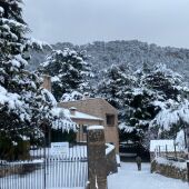 La primera gran nevada del año en Mallorca nos ha dejado la imagen del Centre Forestal en Menut, teñido de blanco. 