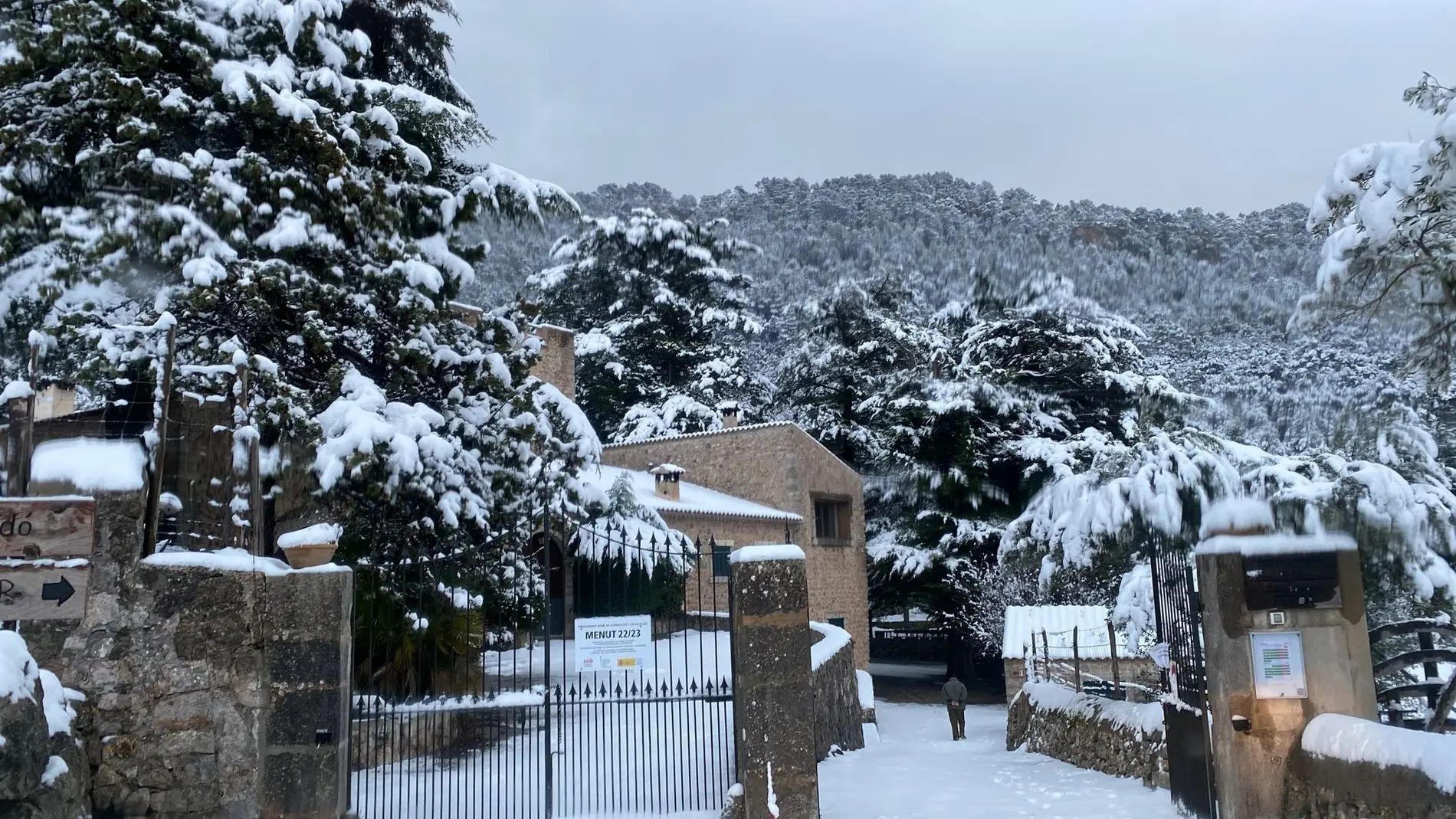 empleo tifón Jadeo Mallorca registra su mayor nevada de los últimos cinco años | Onda Cero  Radio