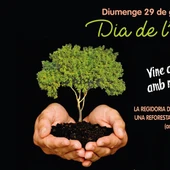 dia del arbol la vila joiosa dia del arbol la vila joiosa