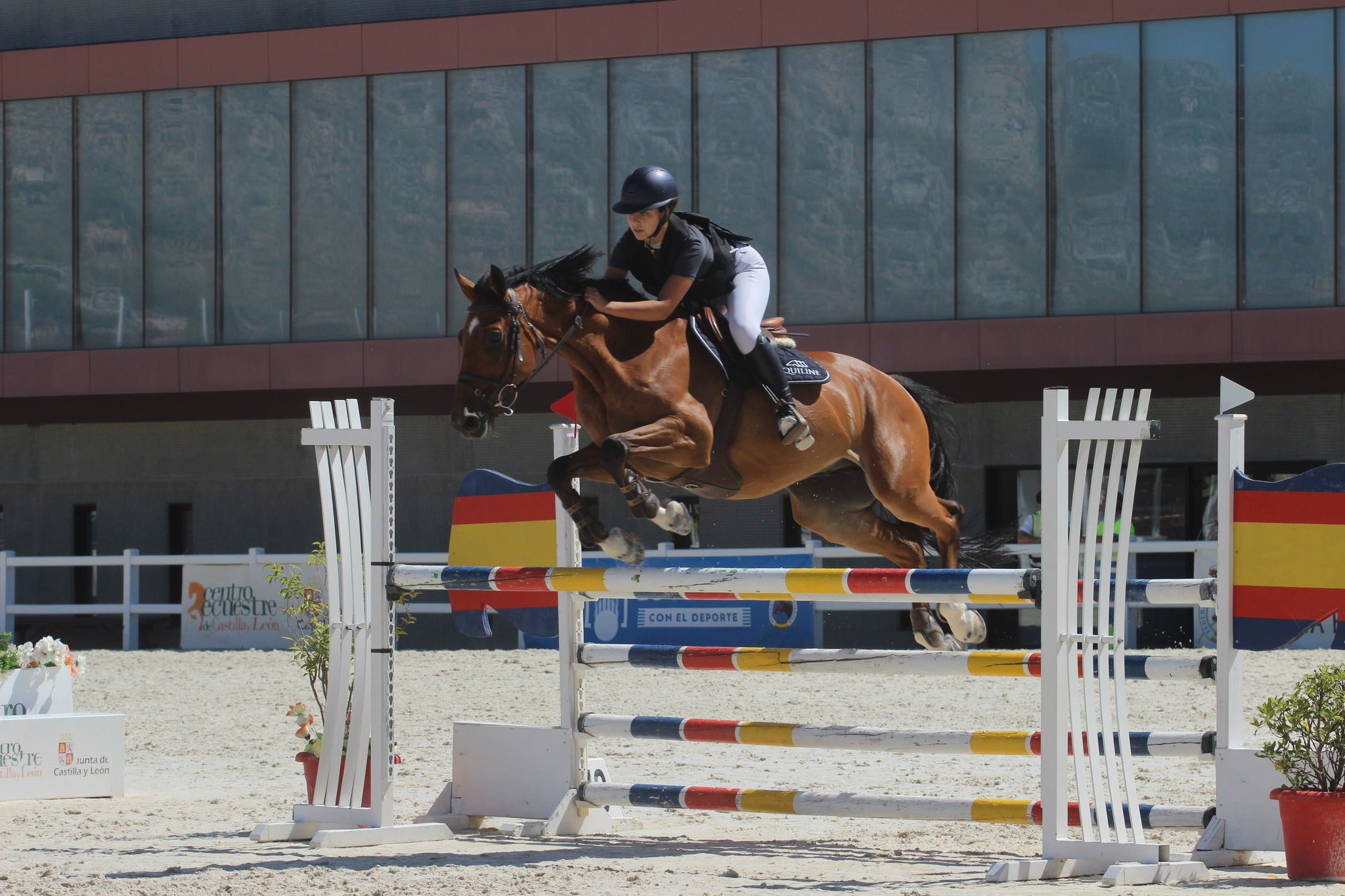 Segovia acoge este fin de semana el inicio del año hípico en Castilla y León Segovia acoge este fin de semana el inicio del año hípico en Castilla y León