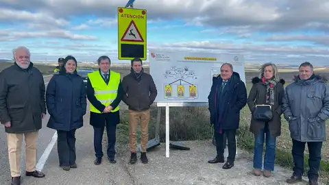 La Junta busca reducir los accidentes por la irrupción de animales en la calzada con un proyecto piloto de señalización inteligente .