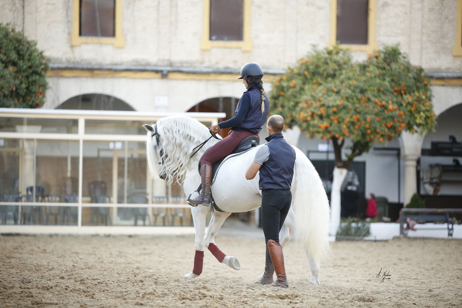 Córdoba Ecuestre recibe el certificado ISO de AENOR Córdoba Ecuestre recibe el certificado ISO de AENOR