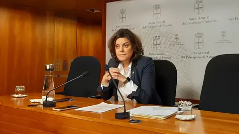 El PP acusa a Pardo de Vera de venir a Asturias a activar el "ventilador" El PP acusa a Pardo de Vera de venir a Asturias a activar el "ventilador"