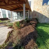 O BNG denuncia o abandono da residencia A Bola O BNG denuncia o abandono da residencia A Bola