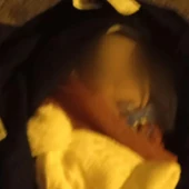 Imatge del nen abandonat dins d’una bossa a Sants Imatge del nen abandonat dins d’una bossa a Sants