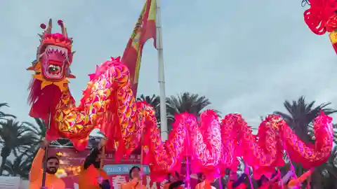 El tradicional dragón chino durante la celebración del Nuevo Año Chino en Elche El tradicional dragón chino durante la celebración del Nuevo Año Chino en Elche