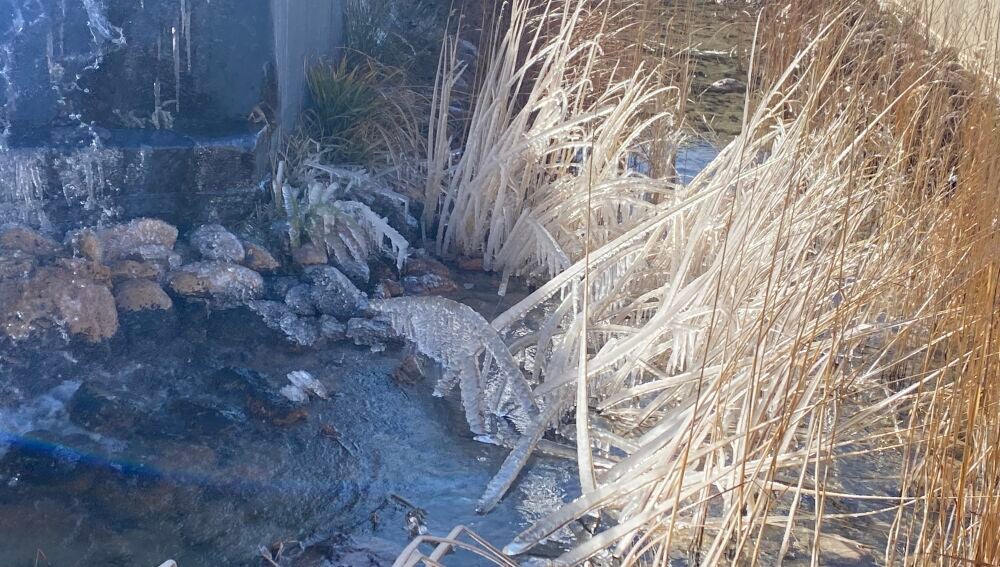 Carámbanos en el Museo de Paleontología 
