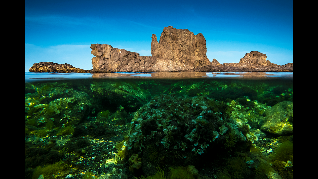 'Paraísos Paralelos', ganadora absoluta del Concurso de Fotografía de los Espacios Naturales de Onda Cero Almería 'Paraísos Paralelos', ganadora absoluta del Concurso de Fotografía de los Espacios Naturales de Onda Cero Almería