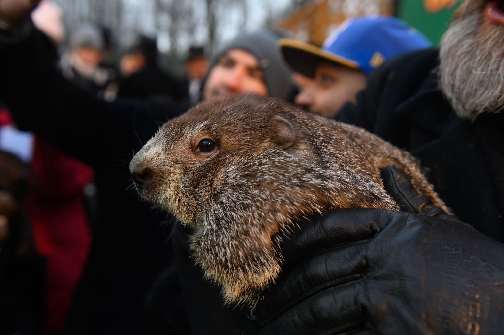 Por qué este jueves es el día de la marmota: qué significa y cómo afecta al tiempo Por qué este jueves es el día de la marmota: qué significa y cómo afecta al tiempo