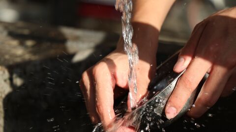 Lavar los platos a mano o con lavavajillas, &iquest;qu&eacute; gasta m&aacute;s?