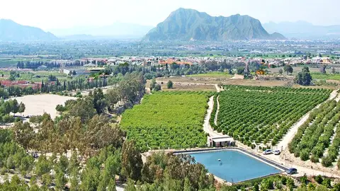 Importantes inversiones mejorarán diferentes infraestructuras en el municipio de Benejúzar infraestructuras