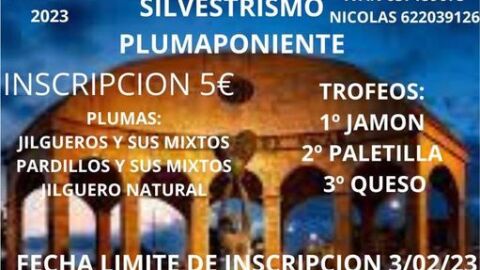 silvestrismo vicar
